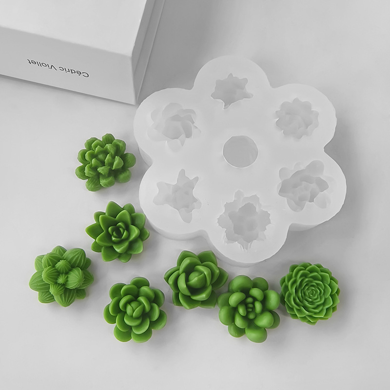 7 In1 Succulent Cactus Silicon - огляд і ціна Soap Making At Home